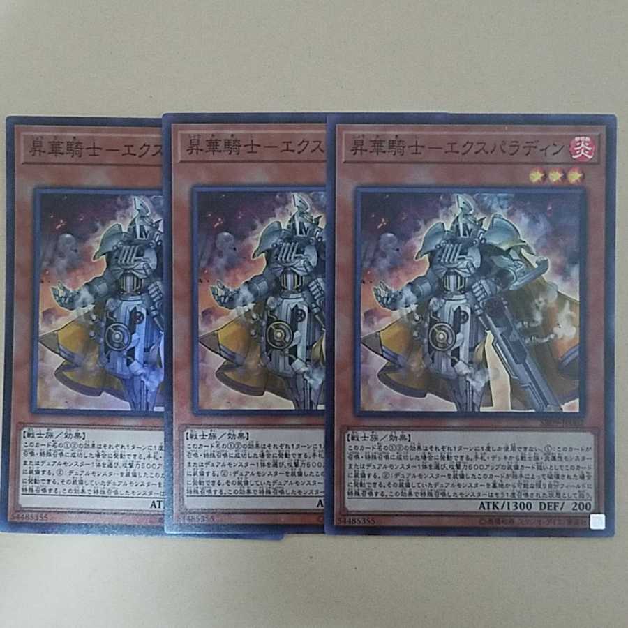 昇華騎士-エクスパラディン SR