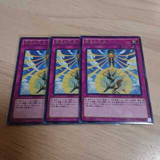 竜星の九支 R 3枚