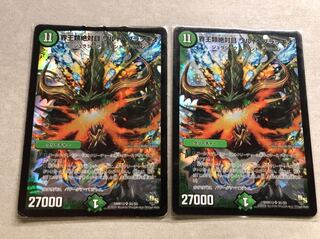 界王類絶対目ワルドブラッキオ