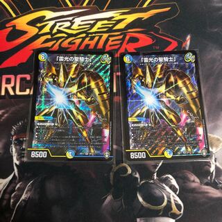 「雷光の聖騎士」