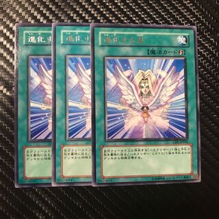 Transcendent Wings N