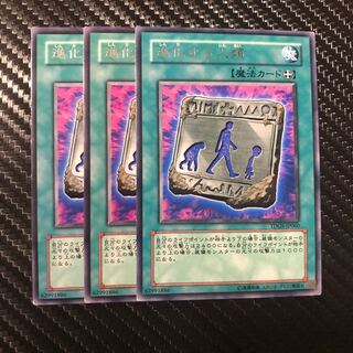 進化する人類 R