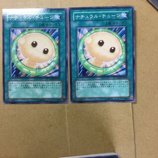 ナチュラル・チューン　２枚