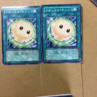 ナチュラル・チューン　２枚