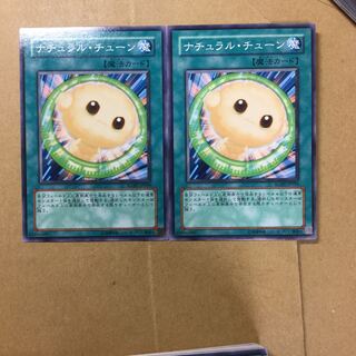 ナチュラル・チューン　２枚