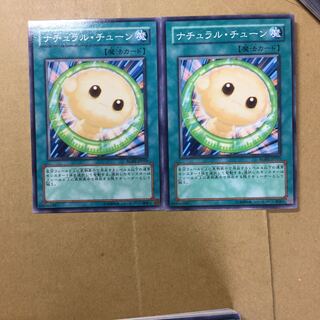 ナチュラル・チューン　２枚