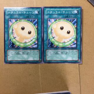 ナチュラル・チューン　２枚