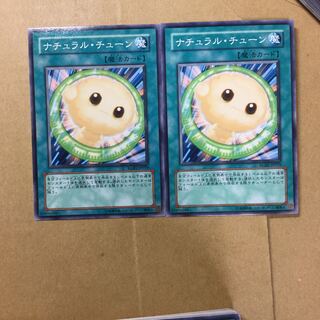 ナチュラル・チューン　２枚