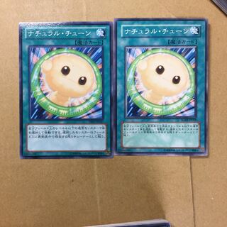 ナチュラル・チューン　２枚