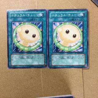 ナチュラル・チューン　２枚