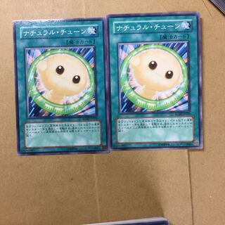 ナチュラル・チューン　２枚