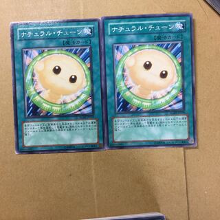 ナチュラル・チューン　２枚