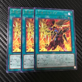 走破するガイア R