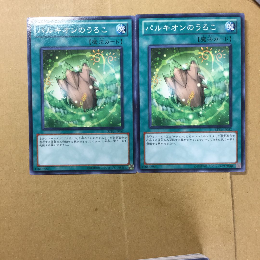 パルキオンのうろこ　２枚