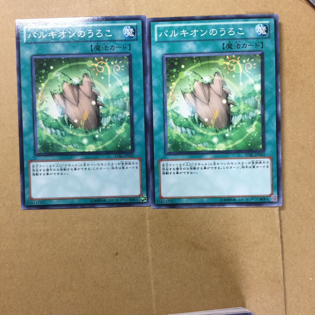 パルキオンのうろこ　２枚