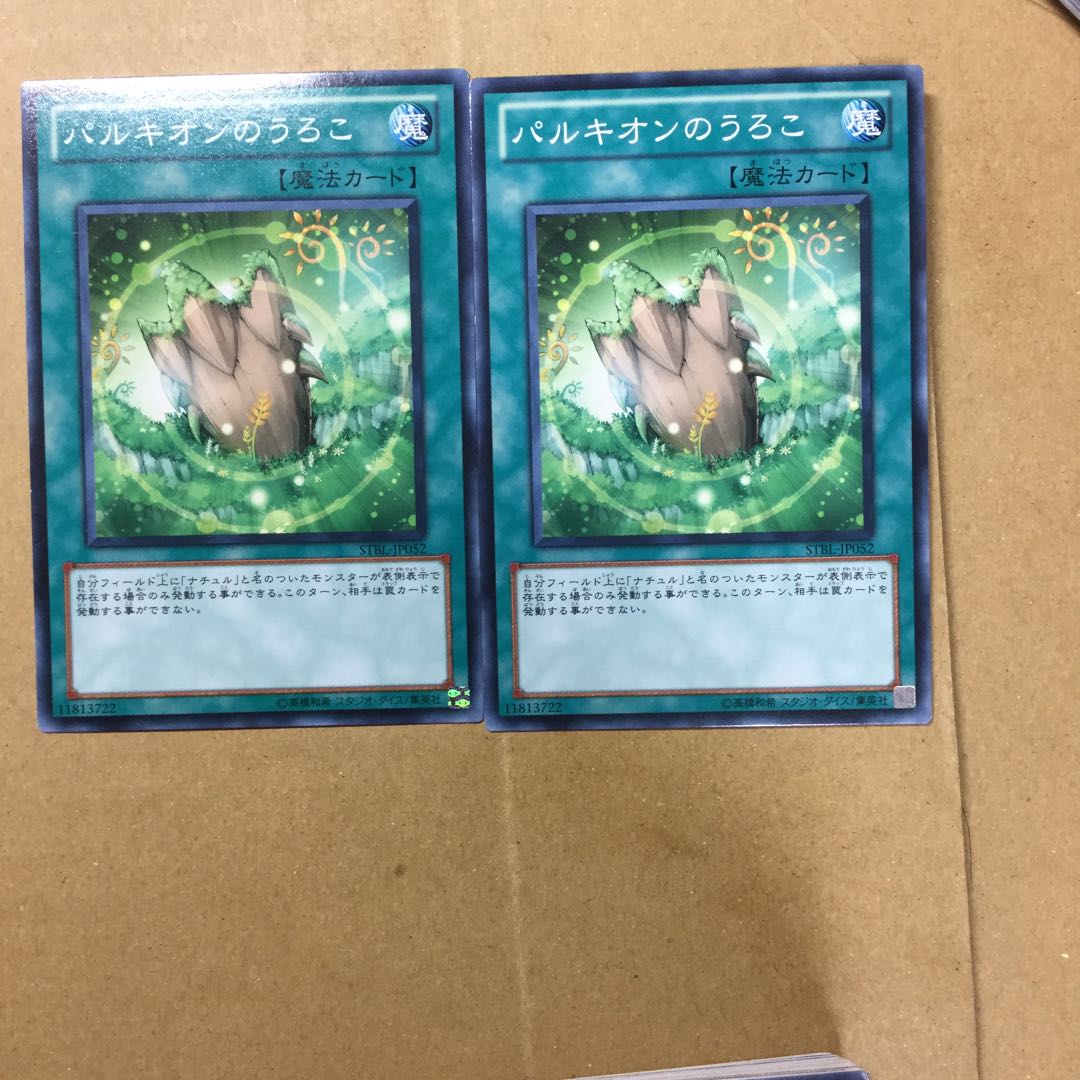 パルキオンのうろこ　２枚