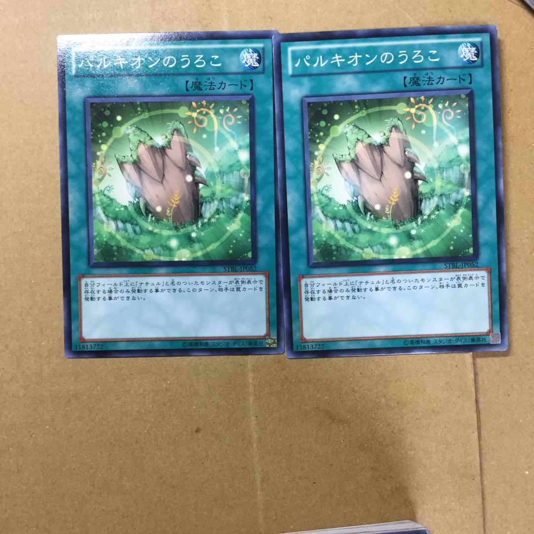 パルキオンのうろこ　２枚