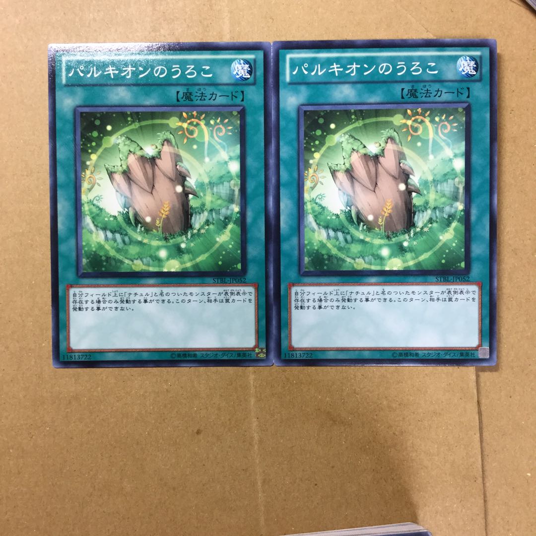 パルキオンのうろこ　２枚