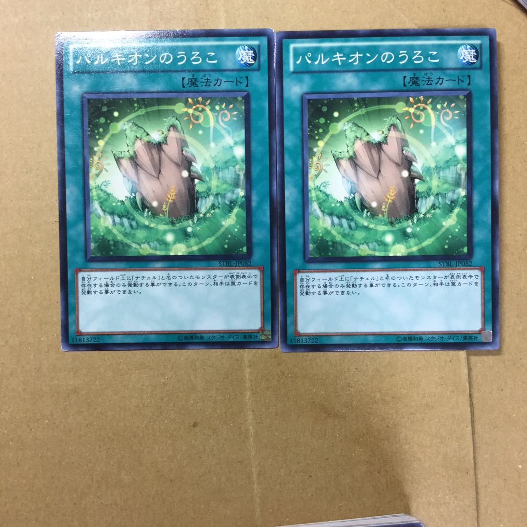 パルキオンのうろこ　２枚