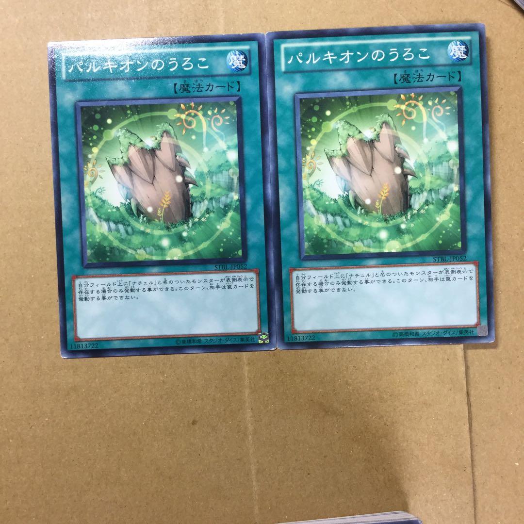 パルキオンのうろこ　２枚