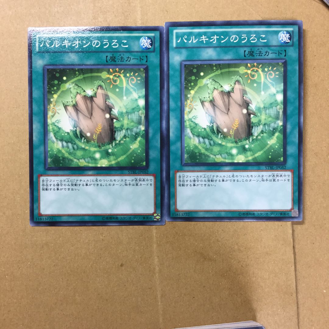 パルキオンのうろこ　２枚