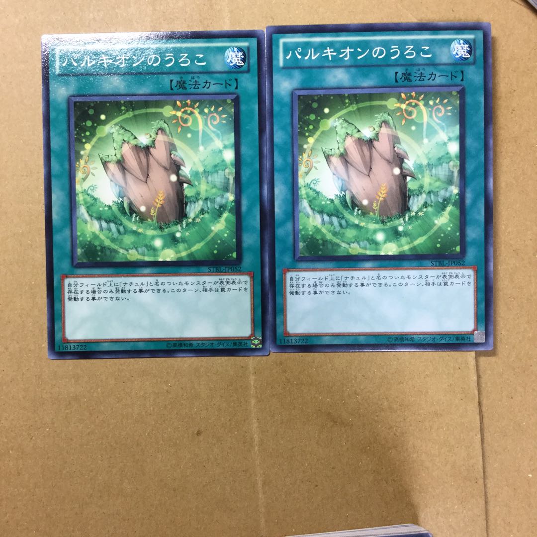 パルキオンのうろこ　２枚