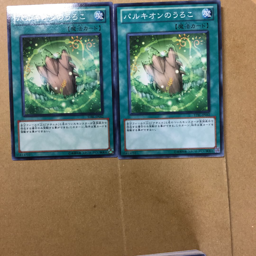 パルキオンのうろこ　２枚