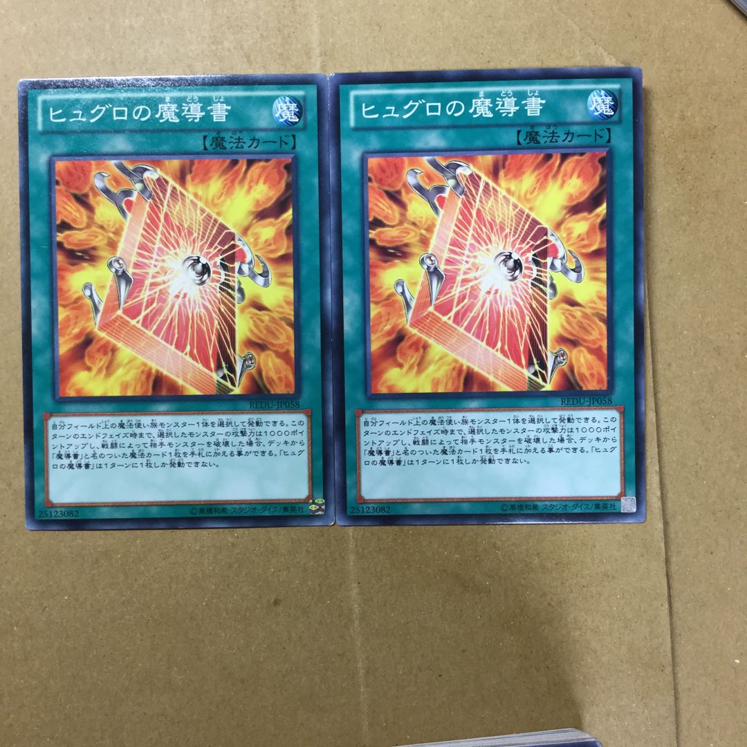 ヒュグロの魔導書　２枚