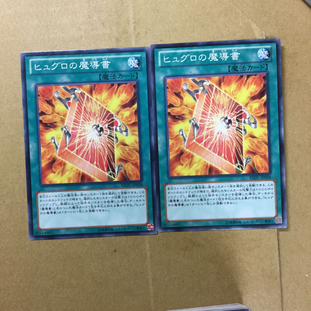 ヒュグロの魔導書　２枚