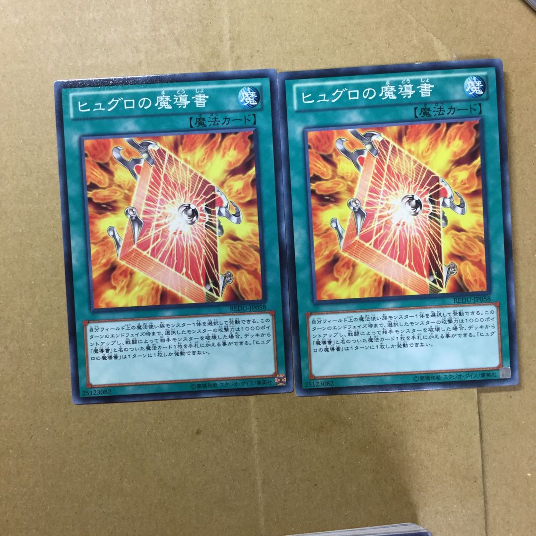 ヒュグロの魔導書　２枚