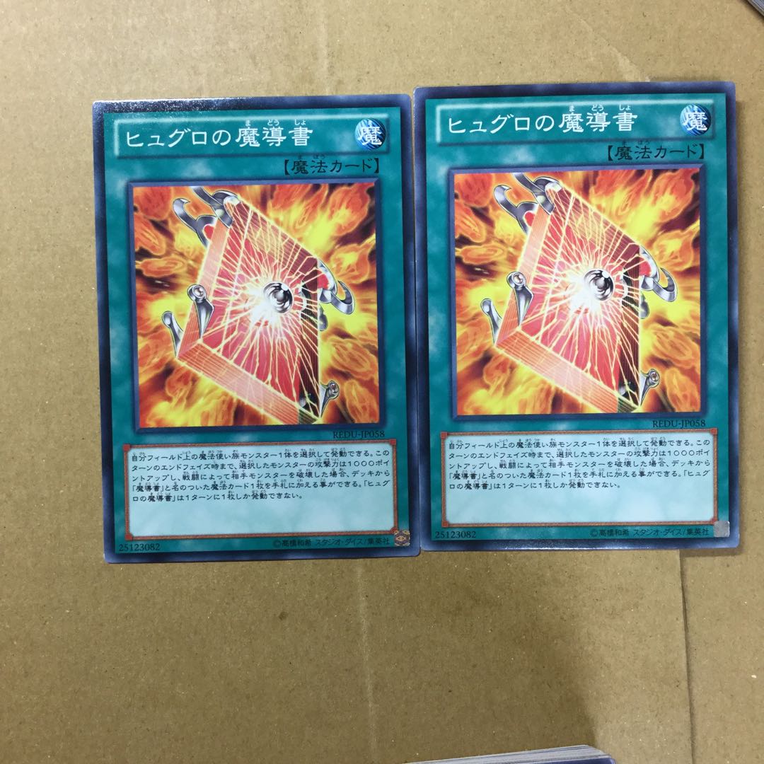 ヒュグロの魔導書　２枚