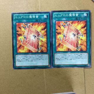 ヒュグロの魔導書　２枚