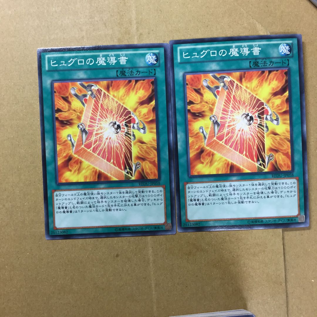 ヒュグロの魔導書　２枚