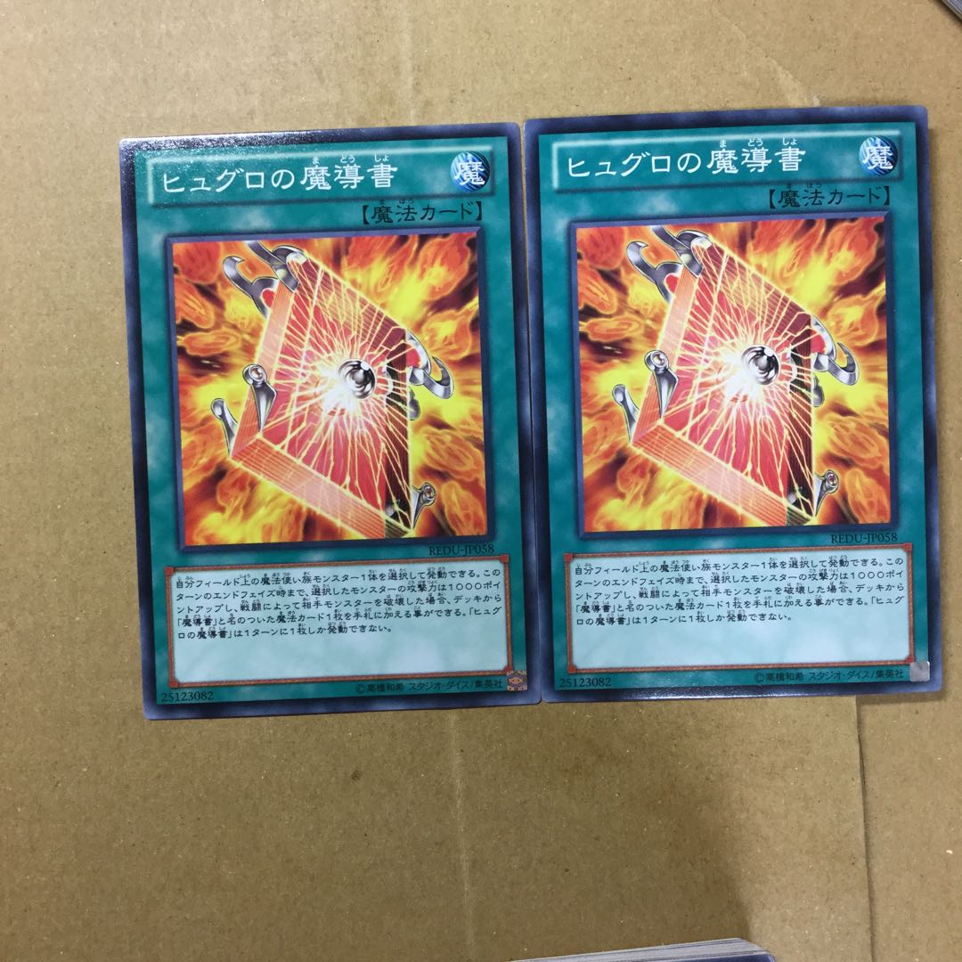 ヒュグロの魔導書　２枚