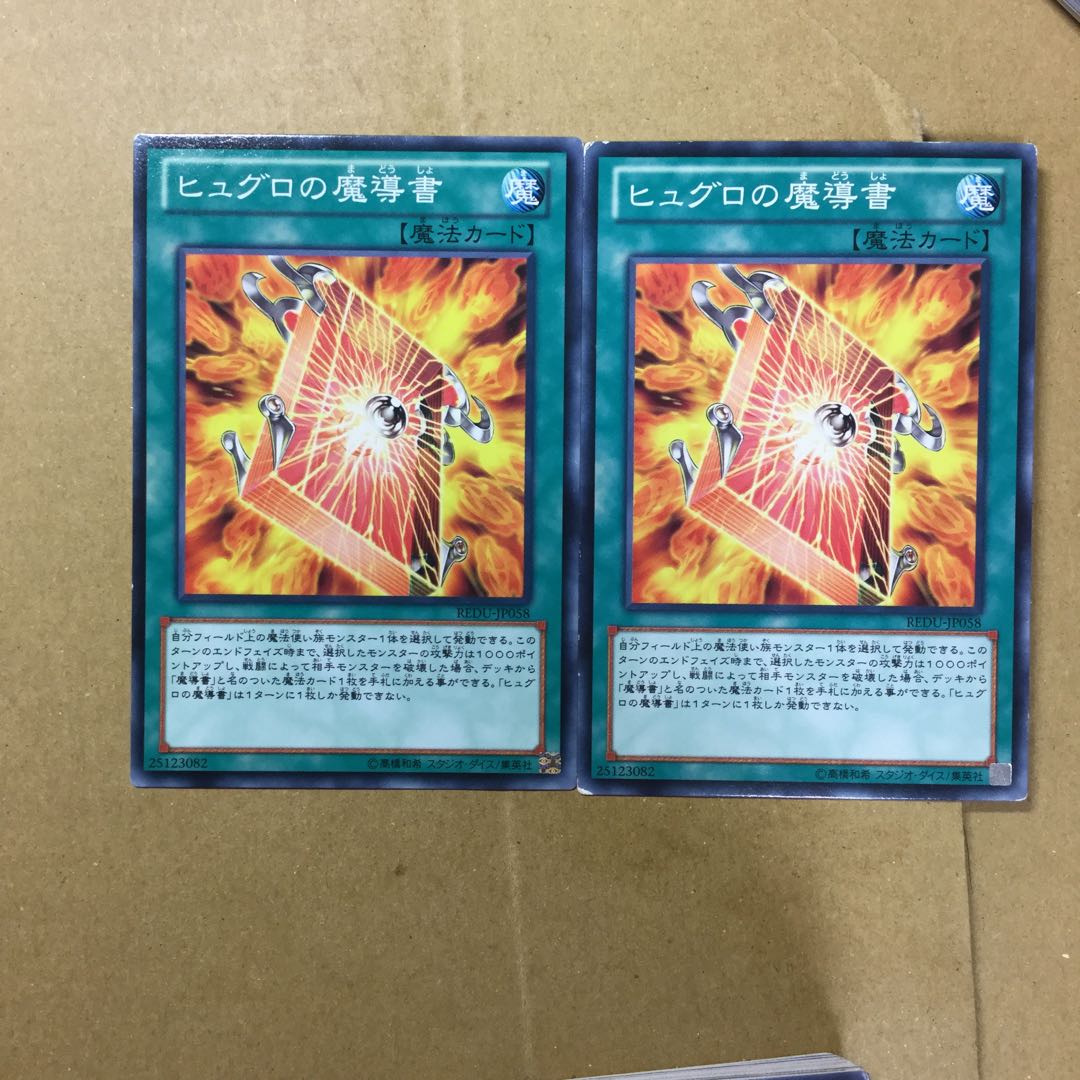 ヒュグロの魔導書　２枚