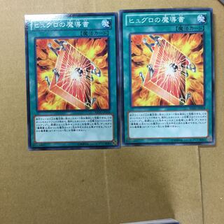 ヒュグロの魔導書　２枚