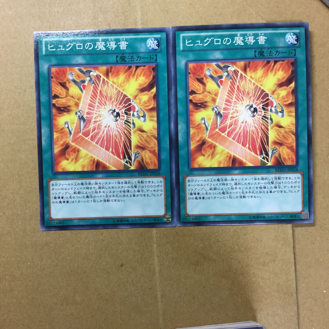 ヒュグロの魔導書　２枚