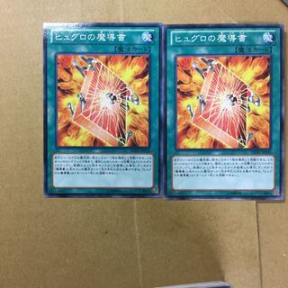 ヒュグロの魔導書　２枚