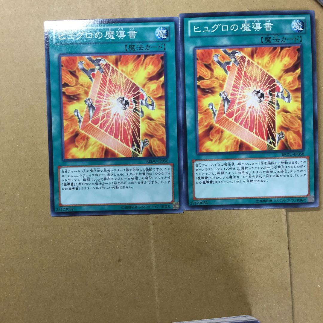 ヒュグロの魔導書　２枚