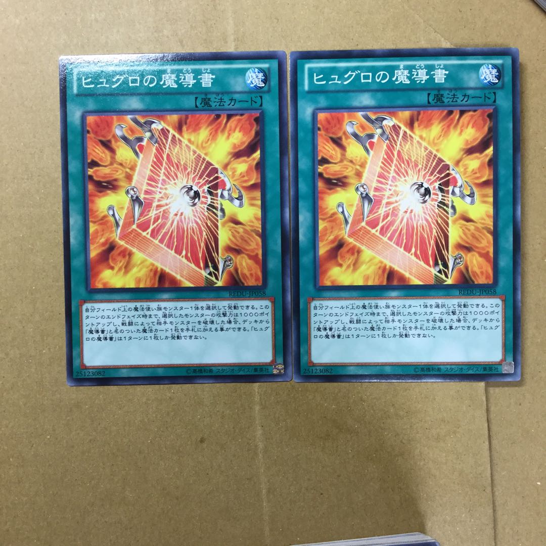 ヒュグロの魔導書　２枚