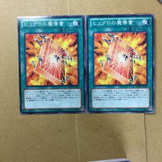 ヒュグロの魔導書　２枚