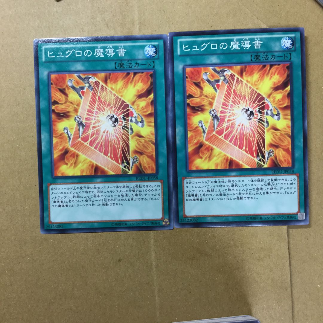 ヒュグロの魔導書　２枚