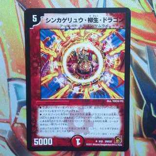 シンカゲリュウ・柳生・ドラゴン