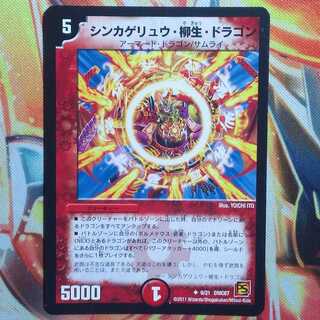 シンカゲリュウ・柳生・ドラゴン