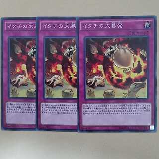 イタチの大暴発