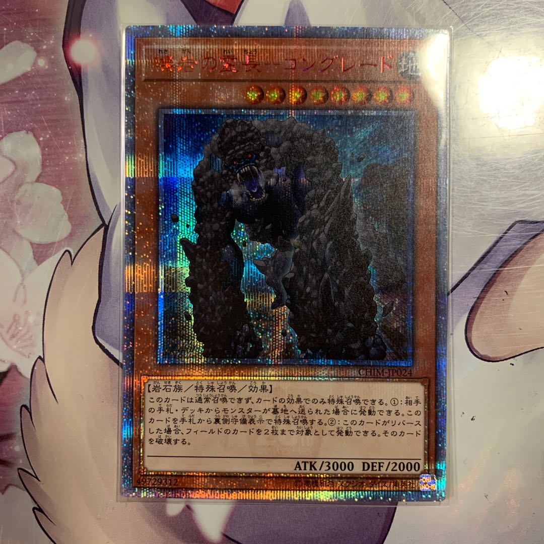 礫岩の霊長-コングレード 20thSE