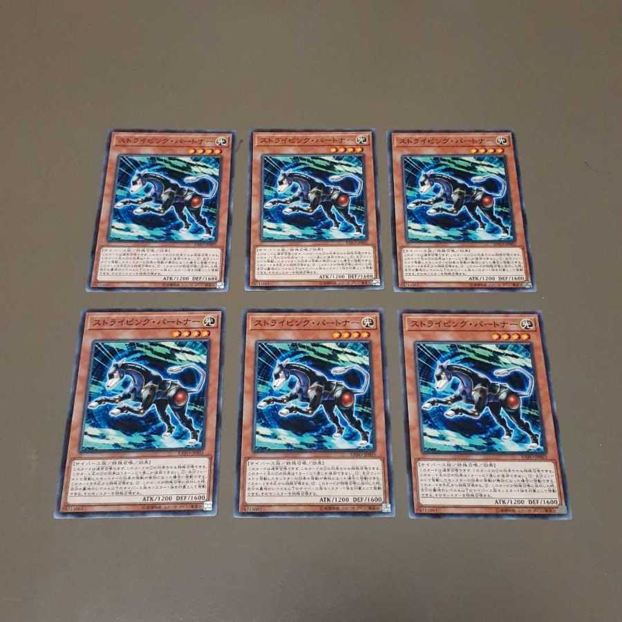 ストライピング・パートナー(N)