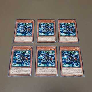 ストライピング・パートナー(N)