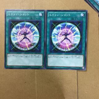 ヒドゥン・ショット２枚