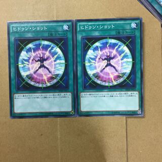 ヒドゥン・ショット２枚